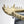 Load image into Gallery viewer, Ateliers C&amp;S Davoy / GOLD CROCODILE HEAD ON
