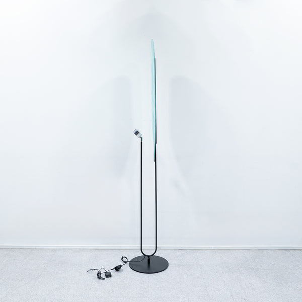 Roche Bobois / ROBIN FLOOR LAMP