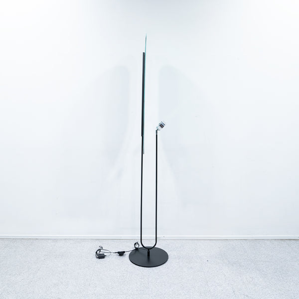 Roche Bobois / ROBIN FLOOR LAMP